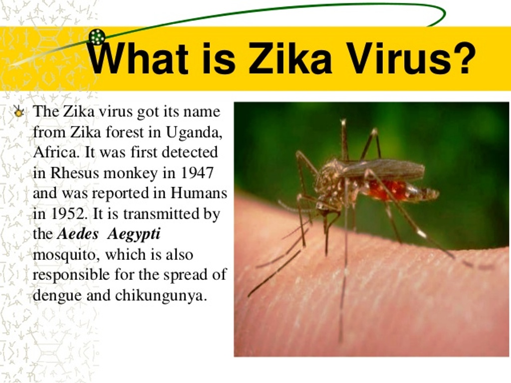 list of Countries with Zika Virus in the world